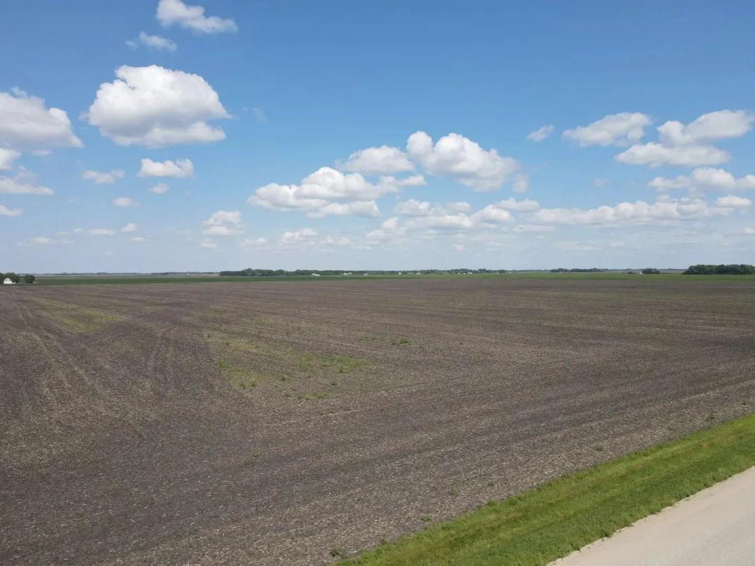 603.47 Acres in Clay County, MN - Farmland Auction!!
