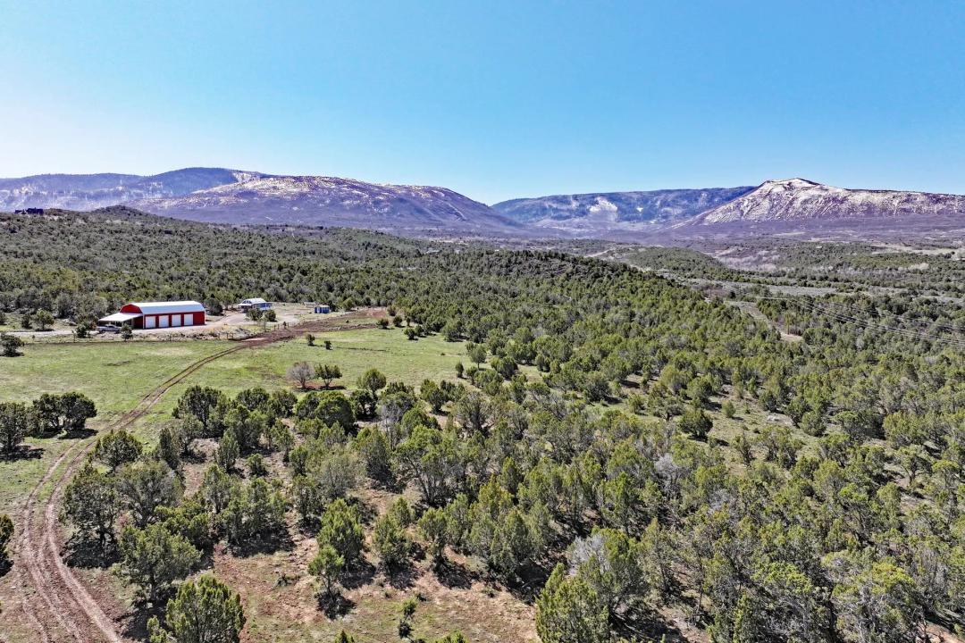 56001 KK Rd Molina, CO Home, Shop, Acreage with Ponds For Sale on Western Slope Colorado