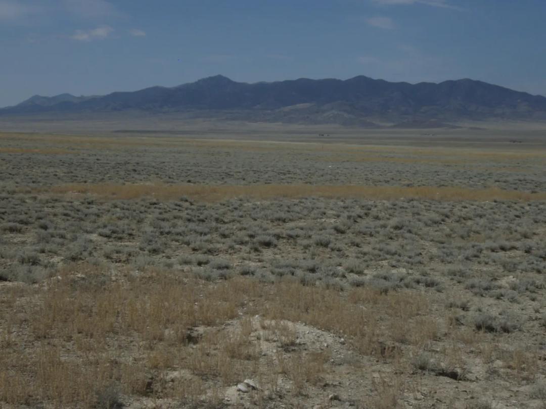 Borders BLM Government lands * Antelope in the area
