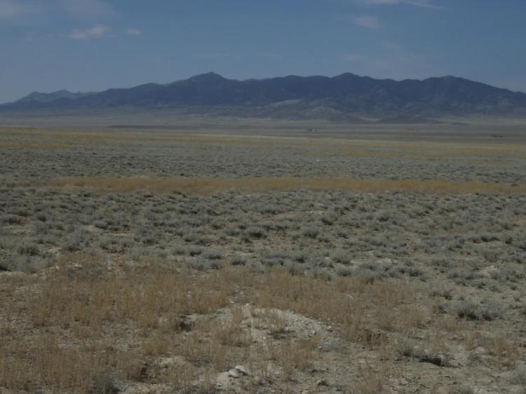 Borders BLM Government lands * Antelope in the area