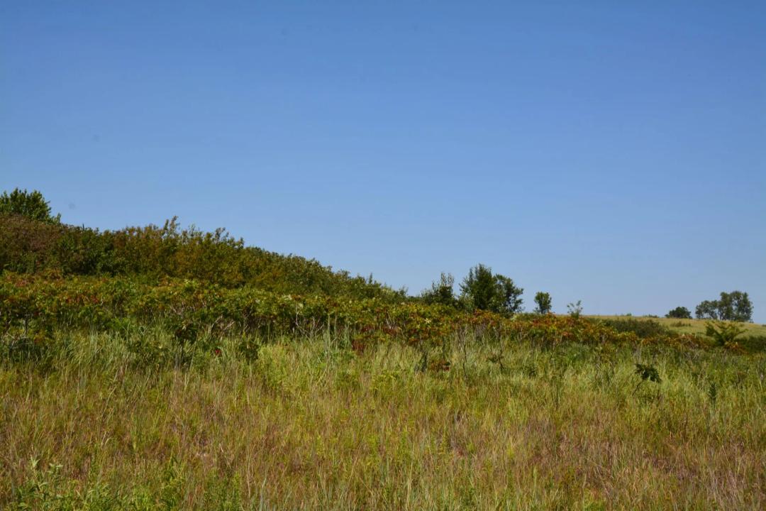 Raeta Estates Lot 4
