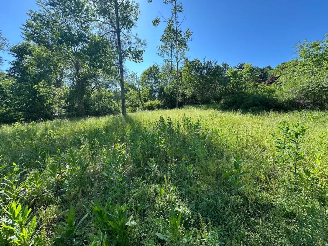 000 RT 356_Pleasant Hill Rd - Leechburg - Westmoreland - 4.55 ±