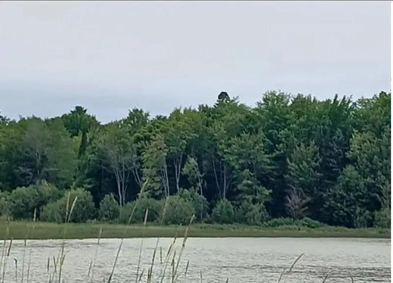 Private Lake Waterfront with 2 Acres 50193041