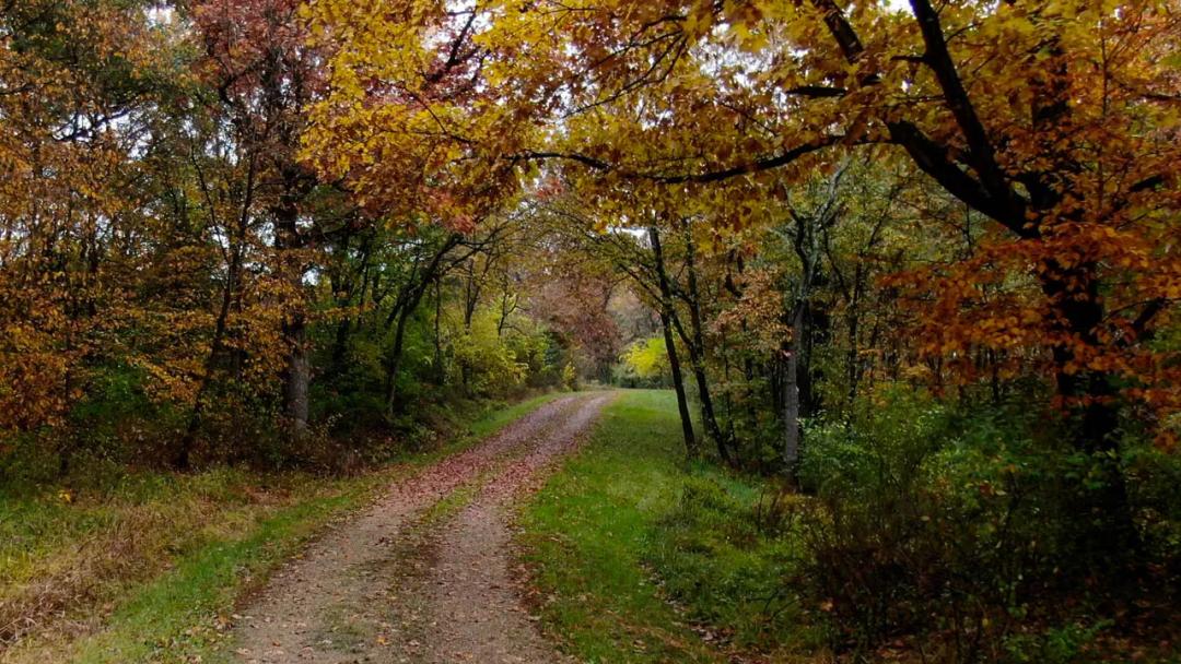 Peoria County, Illinois 71 Acres For Sale(SALE PENDING)