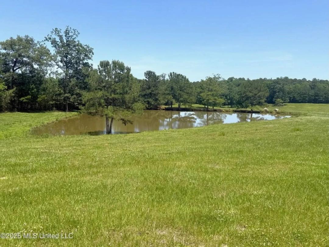 Rolling Hills Pastureland and Wooded land for sale