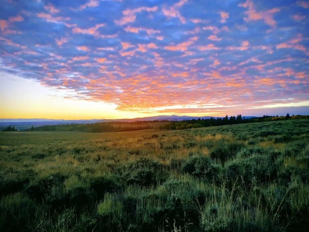 6 Acres w/ Big Mountain Views | Wildlife | Near Blue Mesa Reservoir | Fishing rights!