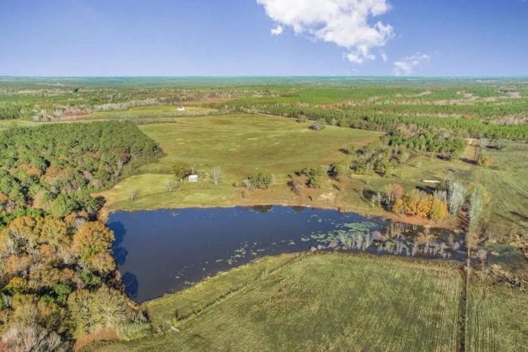 Mississippi Farm and Homestead Land For Sale