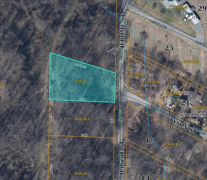 Wooded Lot