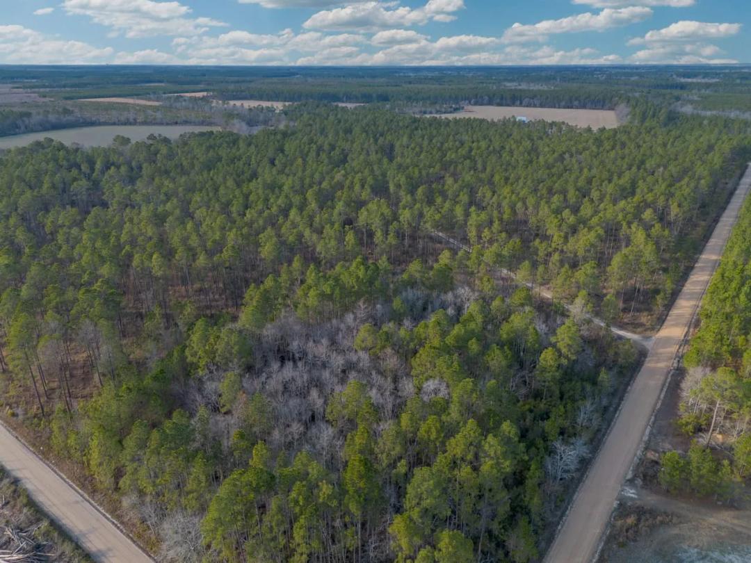 Premier Recreational & Timber Investment