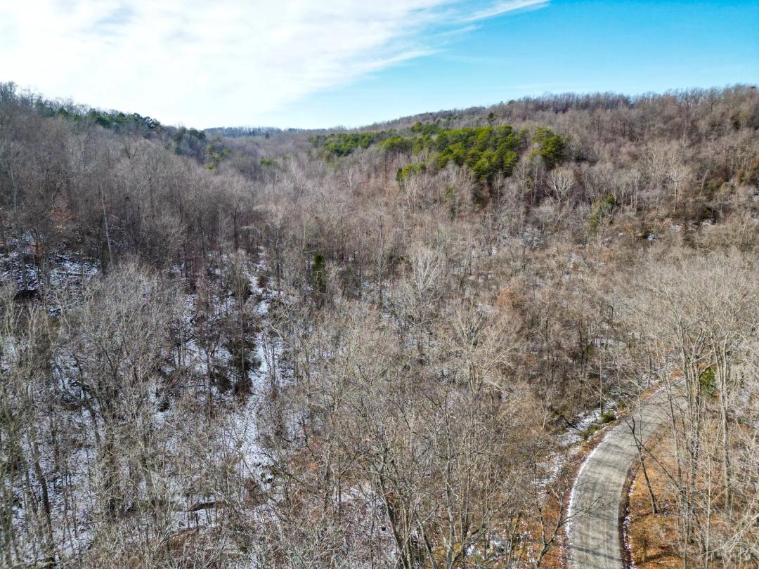 Tract 1 Kemper Hollow South-Facing Hunting Farm