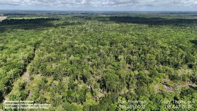 78.80 Acres at 0 Old River Road