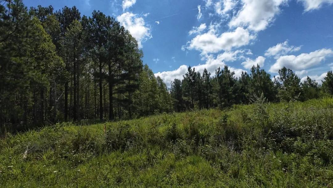 93.06 Acres at 0 Corner Rd