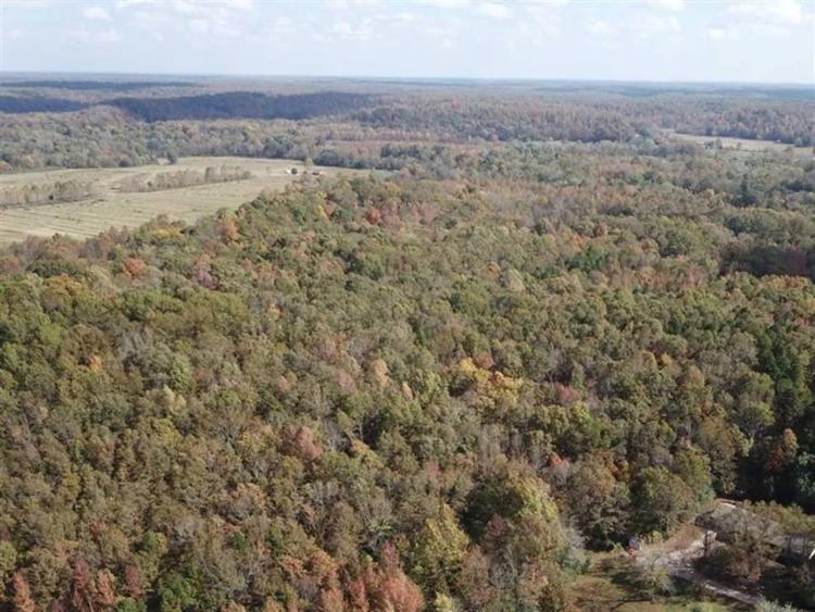 36.5 Acres For Sale in Butler County, Poplar Bluff, Missouri