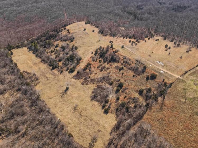 40 Acres Joining National Forest For Sale in Ripley County, MO
