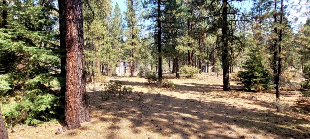 Huge trees. Wet weather stream in back * Fixer upper or Tear it down and start over again