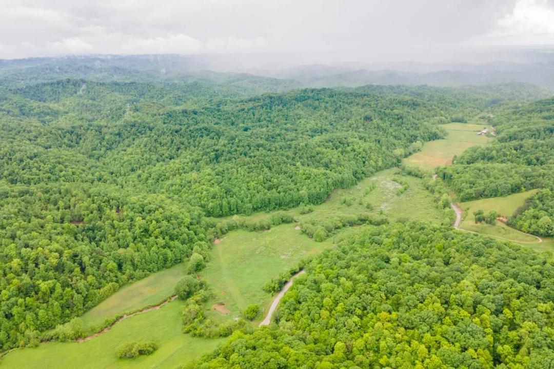 194 Paradise Near Red River Gorge, KY