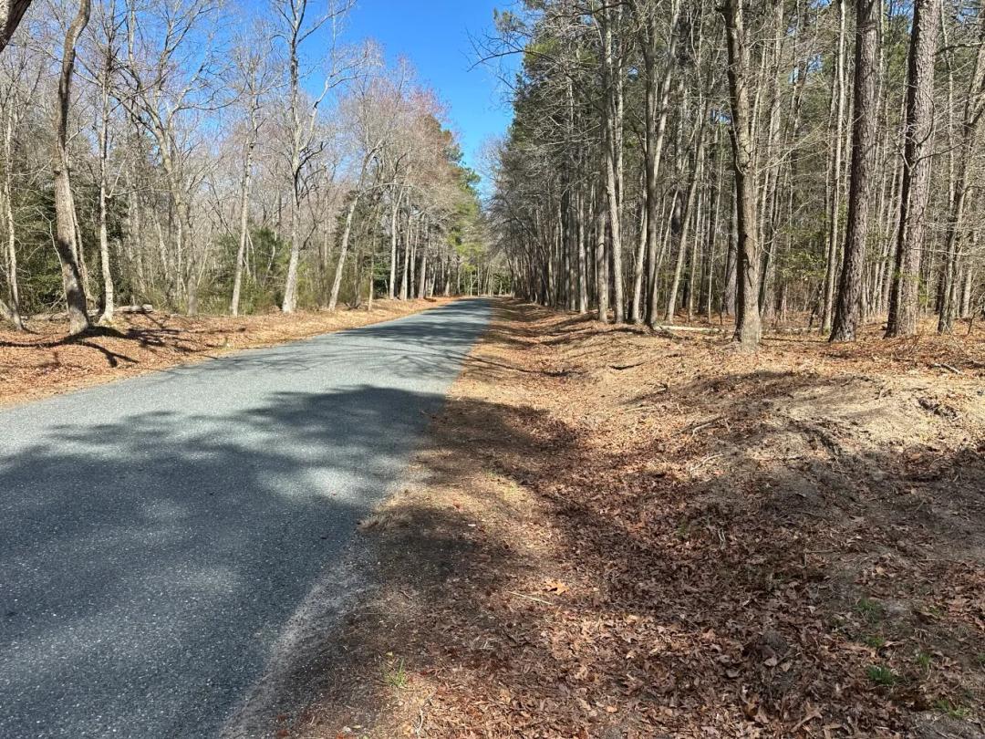 7.91 Acres at 0 E Hurleys Neck Rd