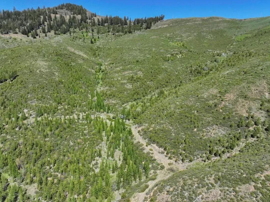 West Fork 640