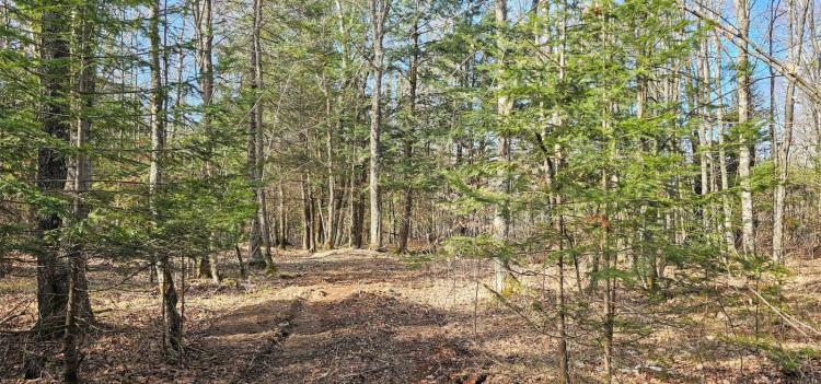 3.67 Acres at 4 County Road W