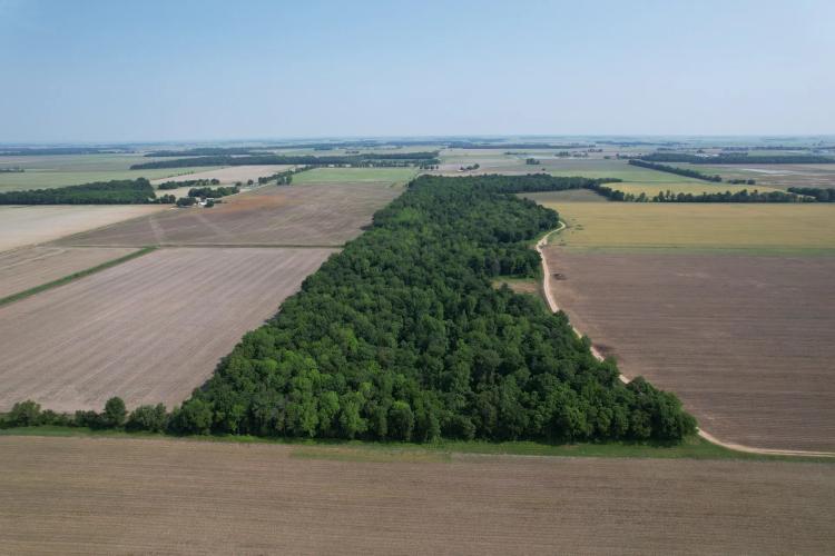 73.3 m/l acres in Greene County, AR