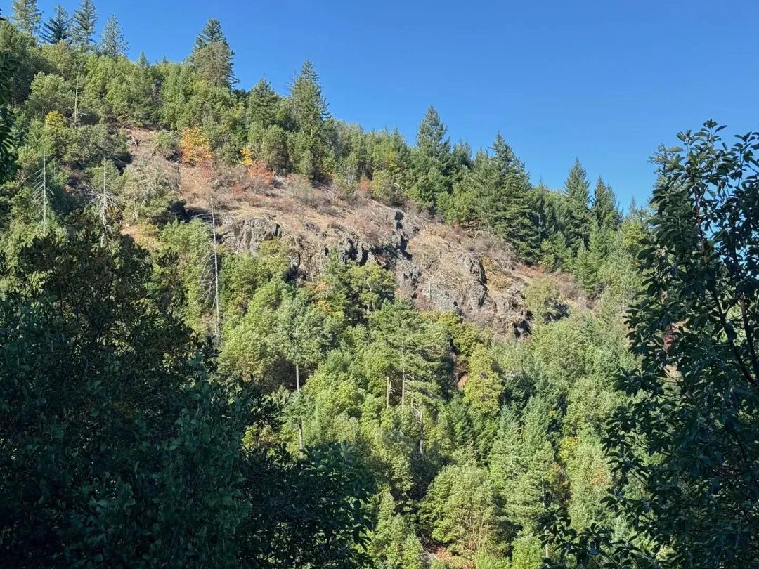 Birdseye Creek Road 160