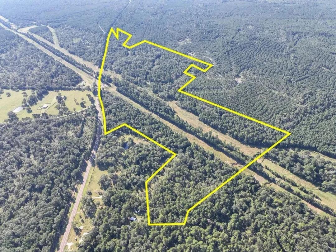 106 Acres | FM 247