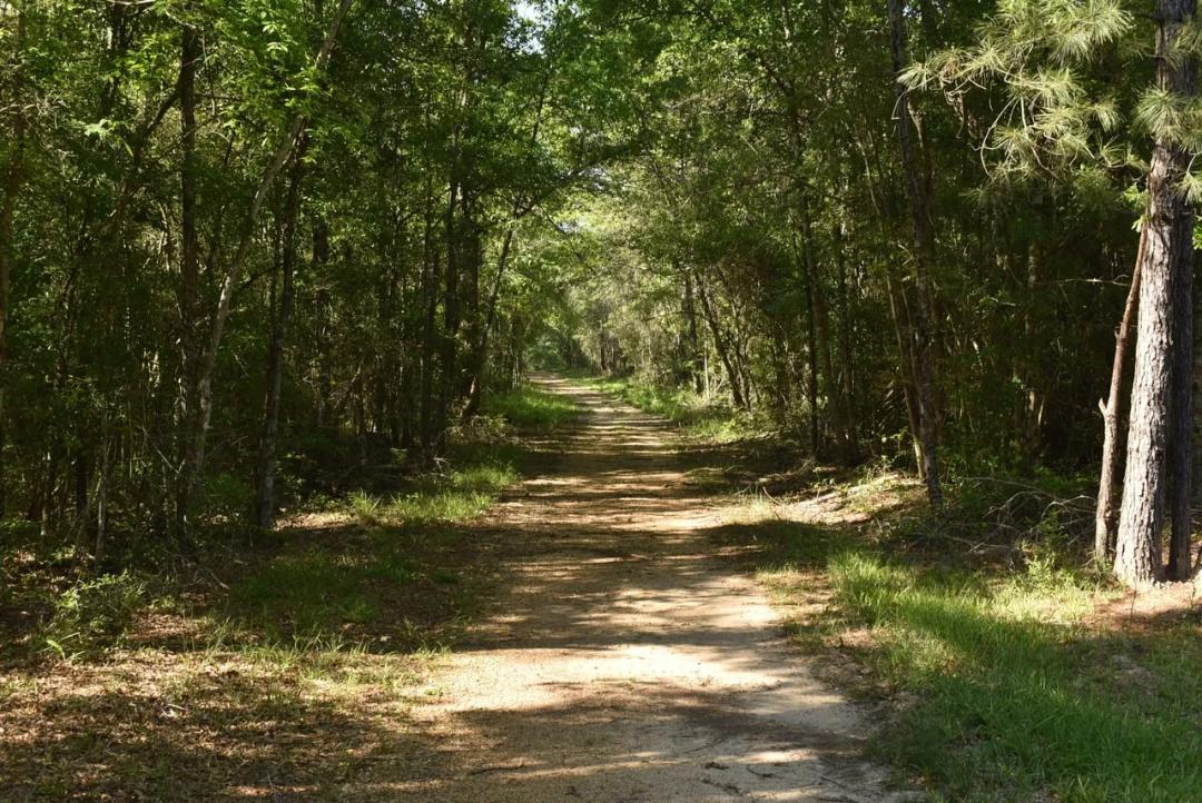 Oceola Rd