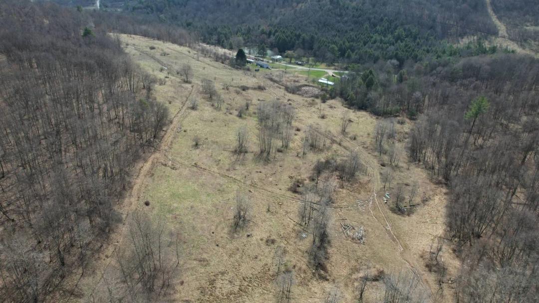 75.5± Acres - Open And Timber Mix - Springs, Trails, Electric