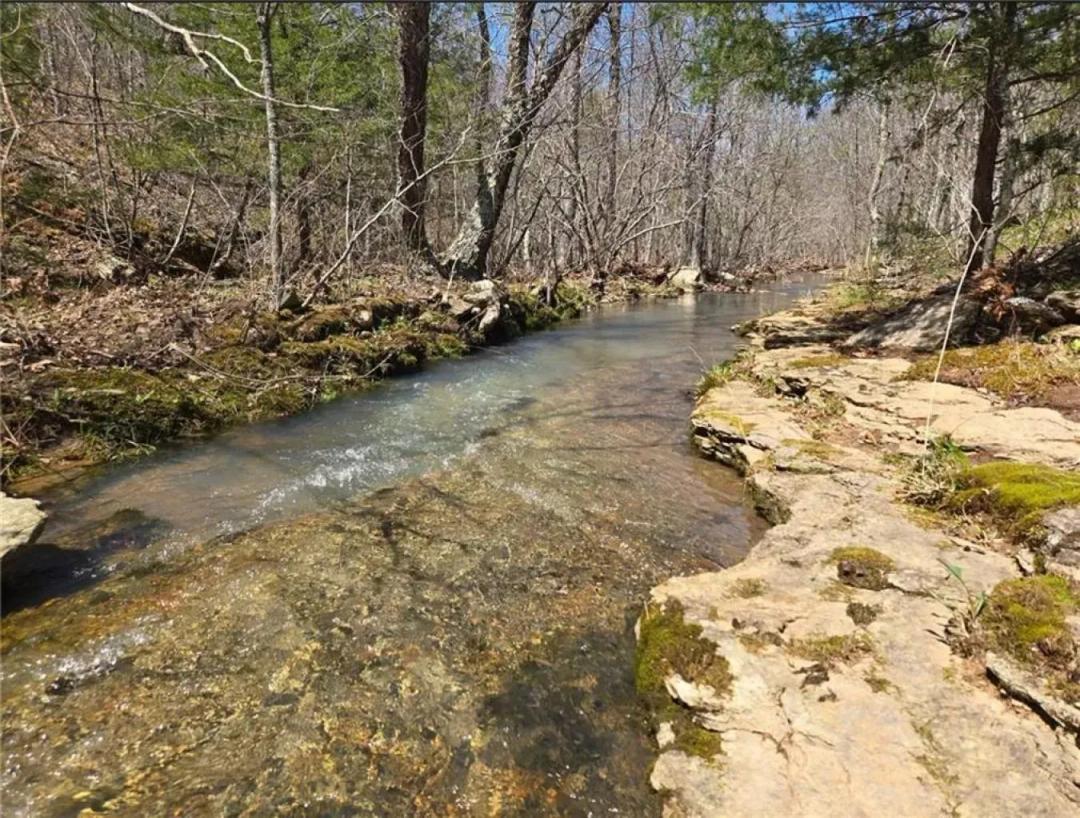 Ozark Mountain Homesteaders Dream - 97 Acres