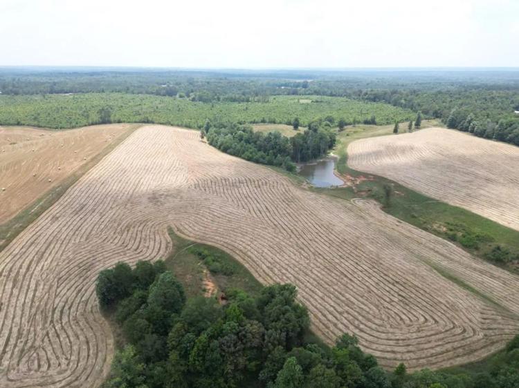 107 Acres Pastureland for Sale Southwest Mississippi