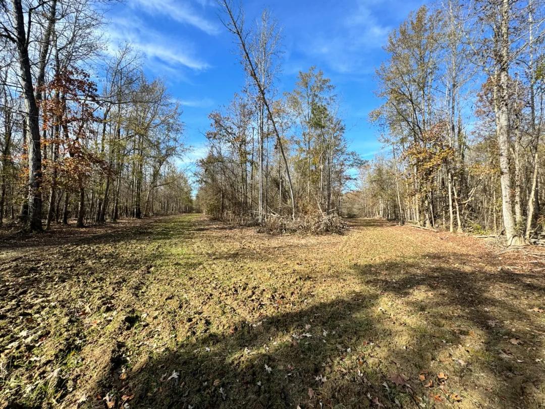 Membership Into Big Island Land & Timber LLC