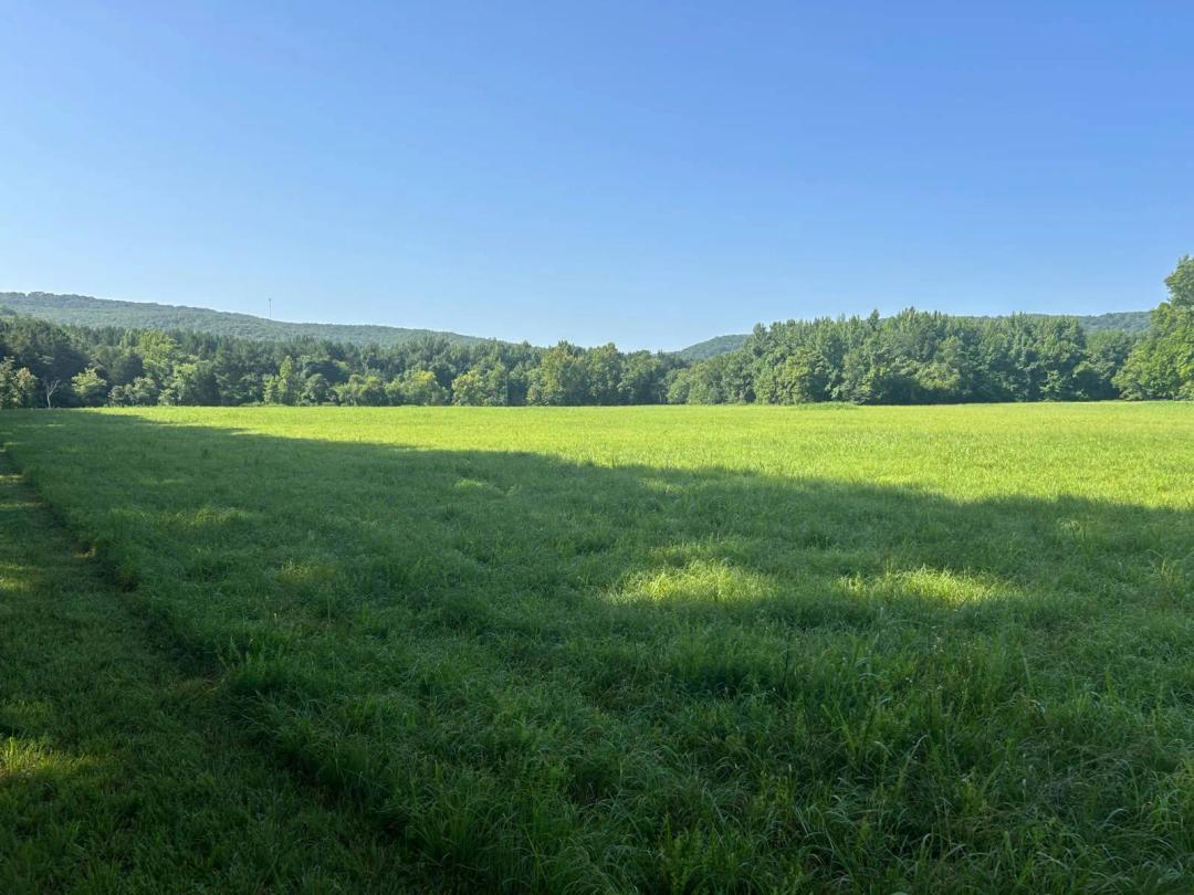 4 Acres Close to Mulberry River at Historic Turner Bend