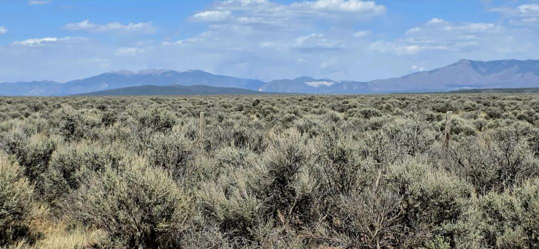 Western Taos county 1/2 acre Lot. No restrictions. Camp RV Microbus Build