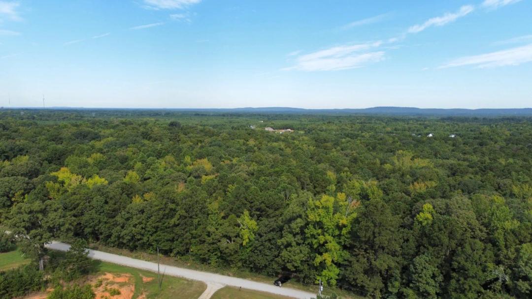 25.00 Acres at 0 Walker Road