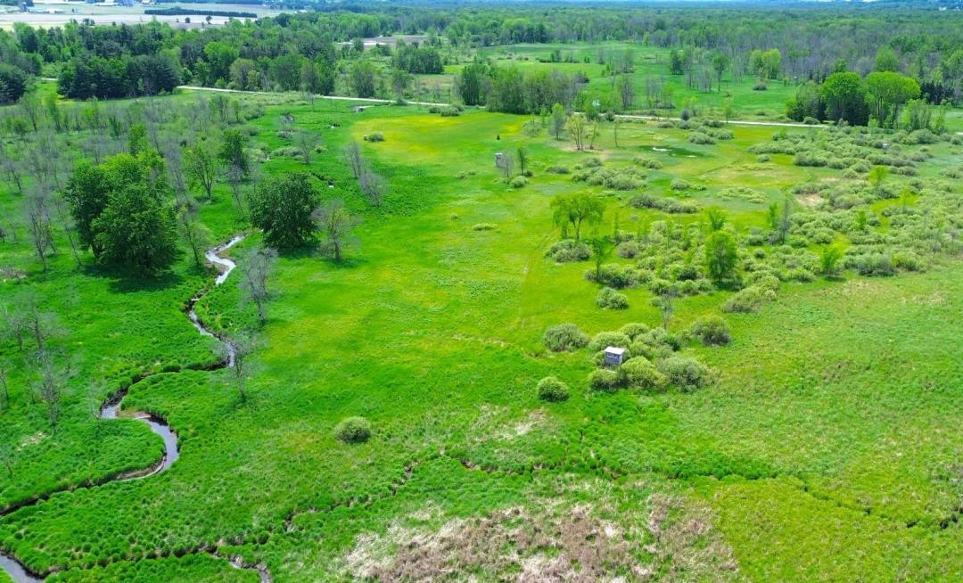 Quality Hunting Tract In Lebanon Swamp At An Affordable Price