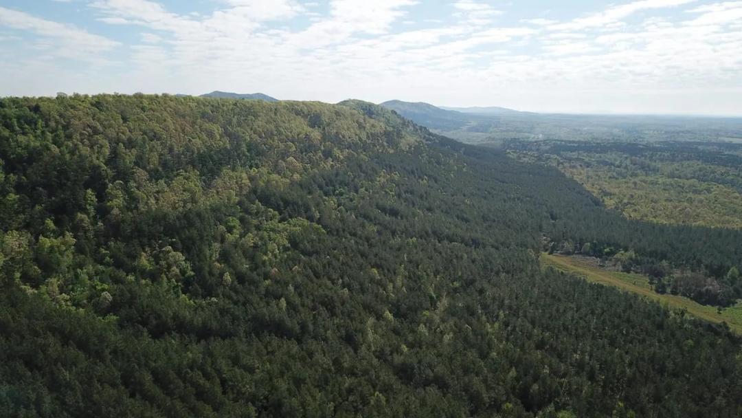 516 +/- Acres Montgomery County Bordering National Forest