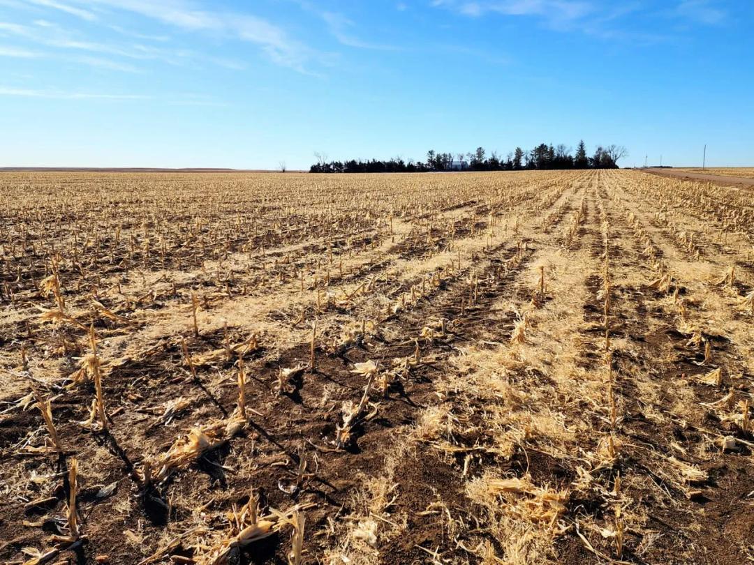 Quarter Section of Cropland/Pasture near I80