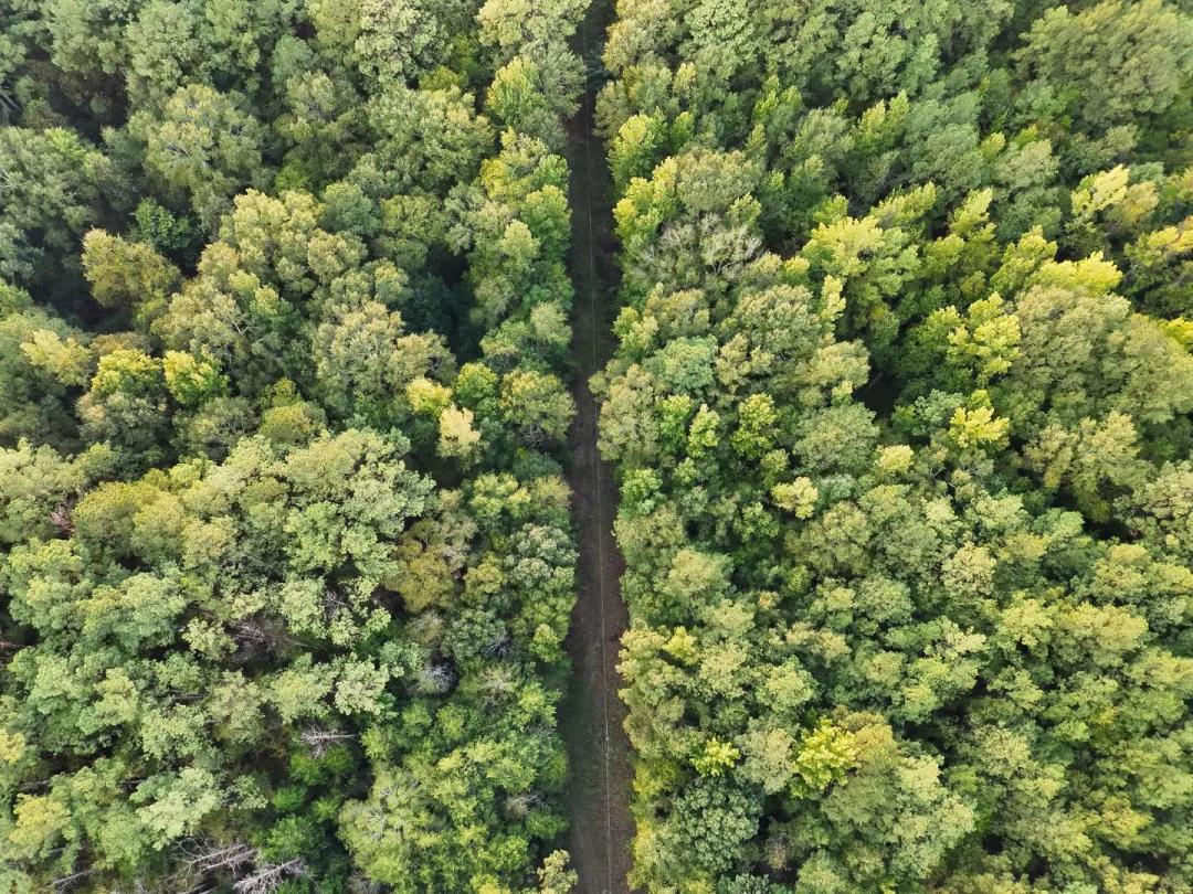37.4 Acres in Attala County, MS