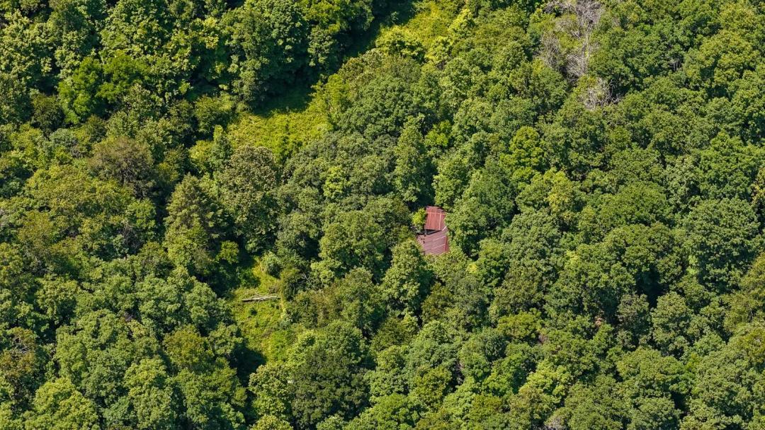 87 Acres With Pond and Old Home Rosedale, WV!