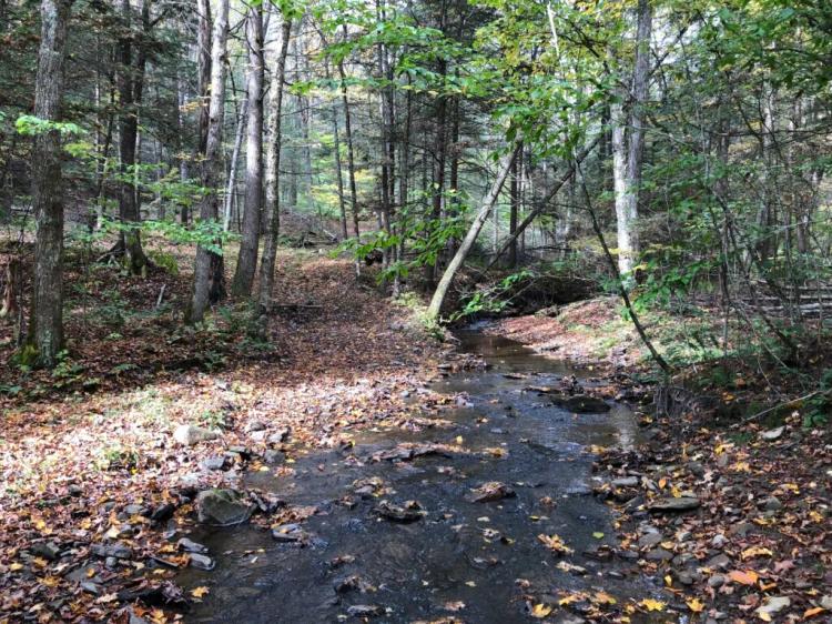 143 acres Private Forest with Stream, Trails, Game and Cabin Sites in Triangle NY 557 North Street