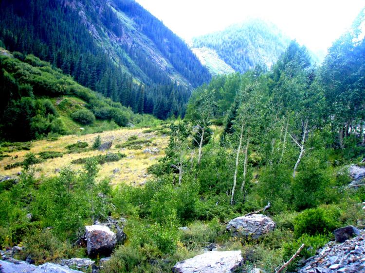 Scenic Pristine Colorado Mountain land * Henson creek flows thru property