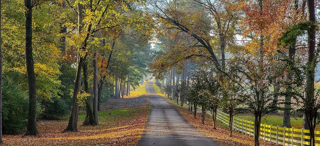 Meers Lane