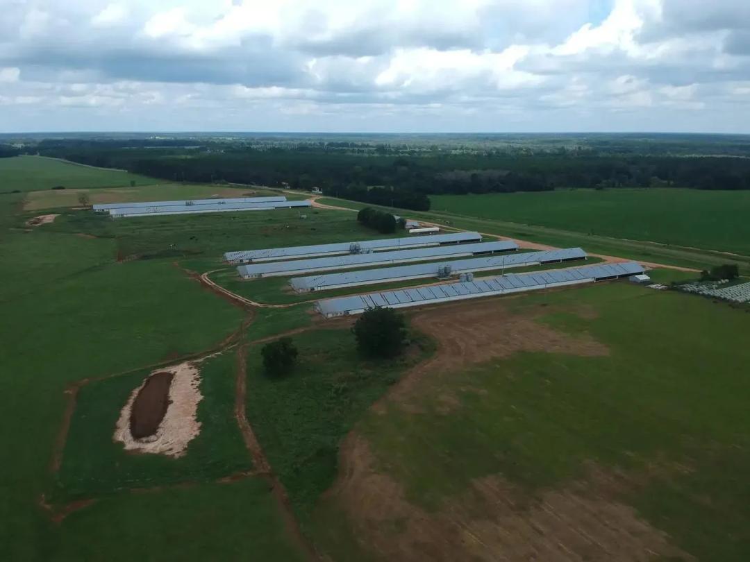 Silo Road Broiler & Cattle Farm – 60+/- Ac & 7 House Farm - Calhoun Co. GA