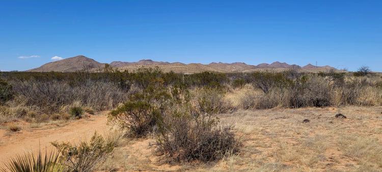 14 lots available, Buy 1 or more - Oro Grande New Mexico - $450 per lot