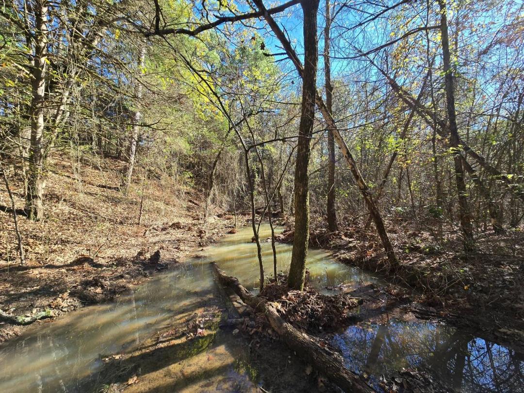 Poteau Mountain Recreational Property - Near National Forest