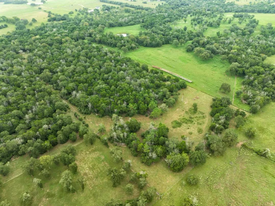4744 Freyburg Hall Rd, Schulenburg - 14.77 Acres