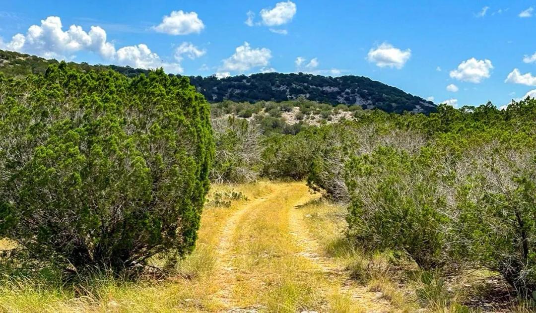 Cargill Ranch - 36 Acres, Edwards County, TX
