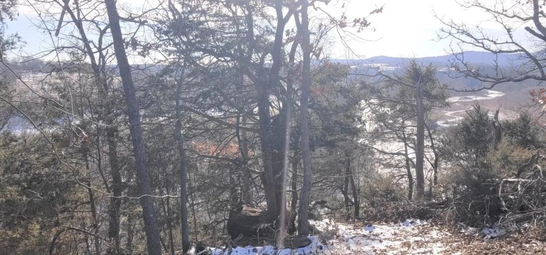 200 Acres of Development Land in Eureka Springs, Arkansas for Sale