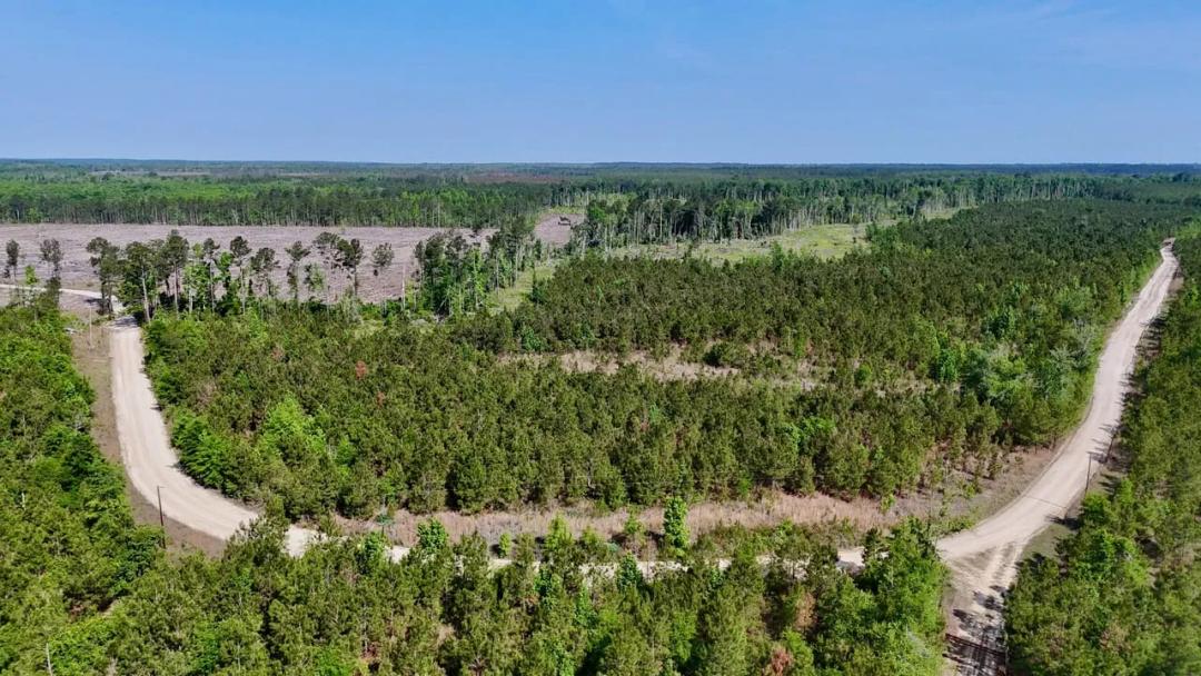 25.5 acre Hunting Retreat in Wheeler County