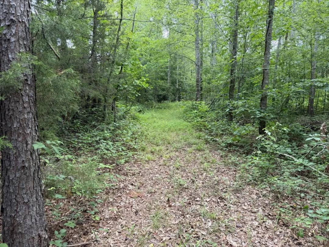 2.00 Acres at 0 Corner Rd- 93.06 Ac
